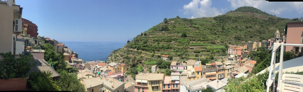 Manarola from our terrace.